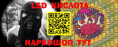 mdpv Донской