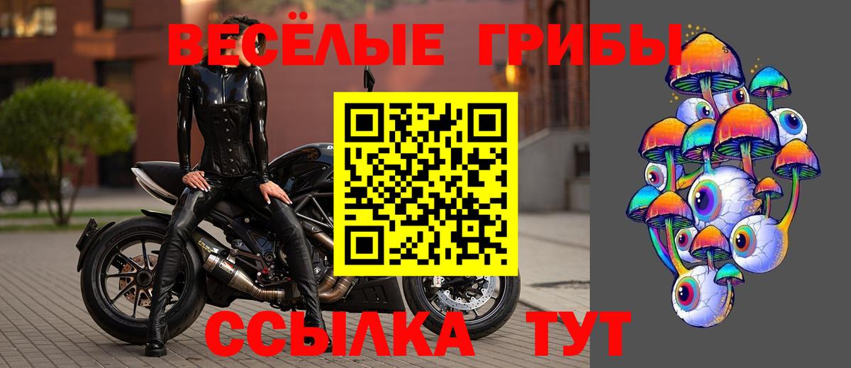 Псилоцибиновые грибы Magic Shrooms Мурино