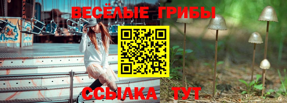 Галлюциногенные грибы MAGIC MUSHROOMS  купить наркотик  Мурино  Вход с VPN 